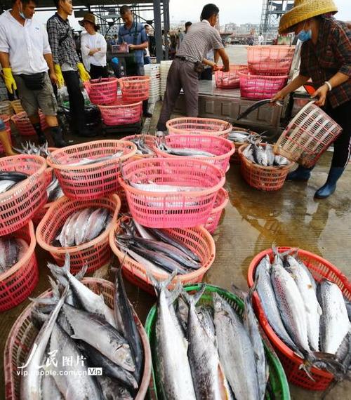 2020年4月7日,人们在三亚市崖州中心渔港水产批发区交易鱼货.
